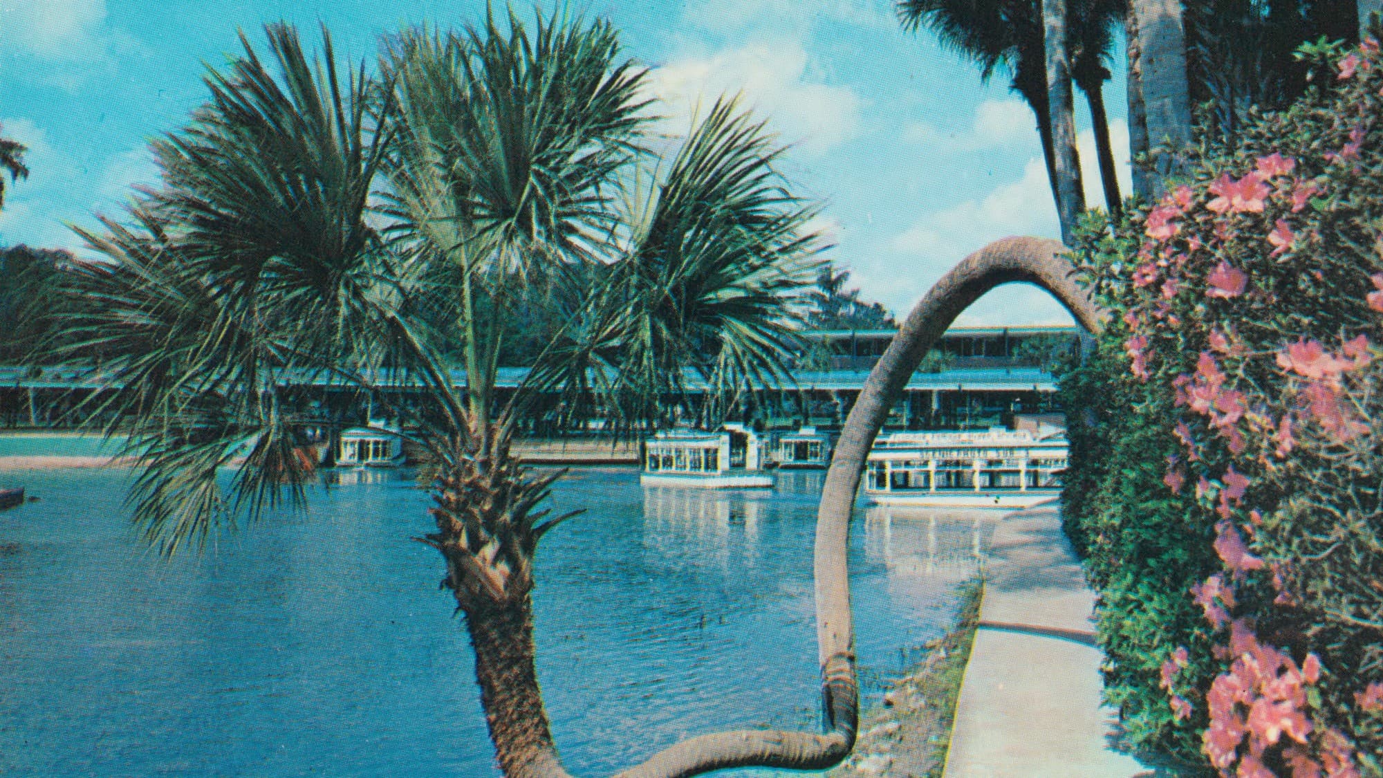 Why Florida's Springs Are Losing Flow