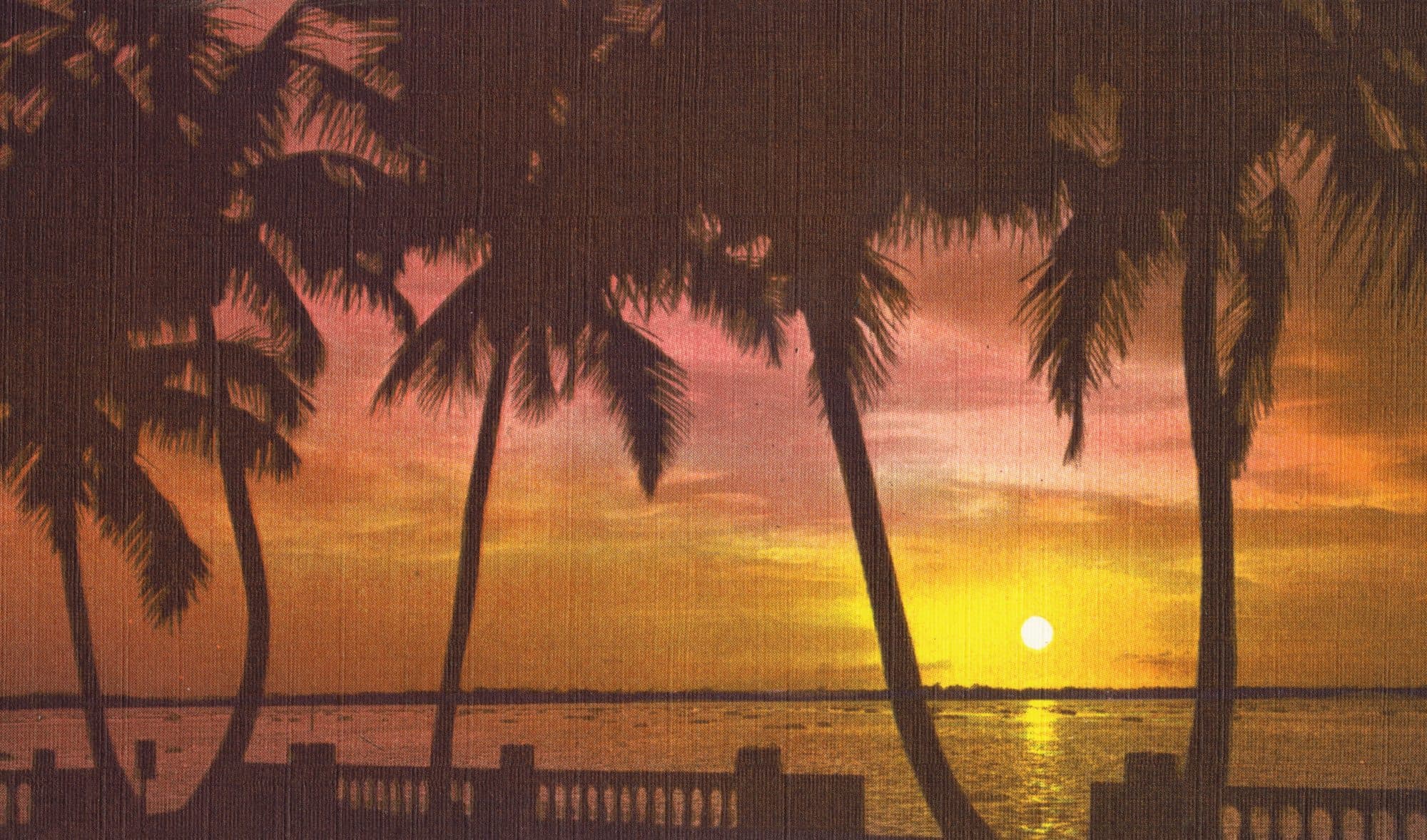 A mid-century Florida sunset, palm silhouettes over the water